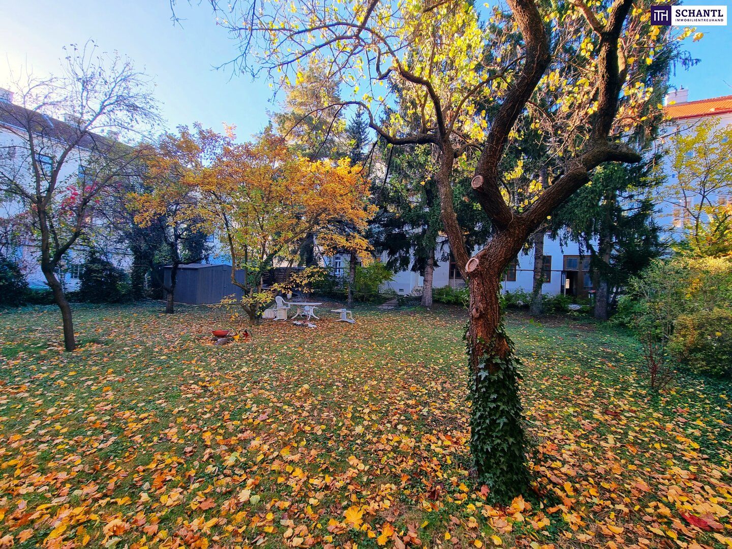Wohnung – Wien - Ansicht 4