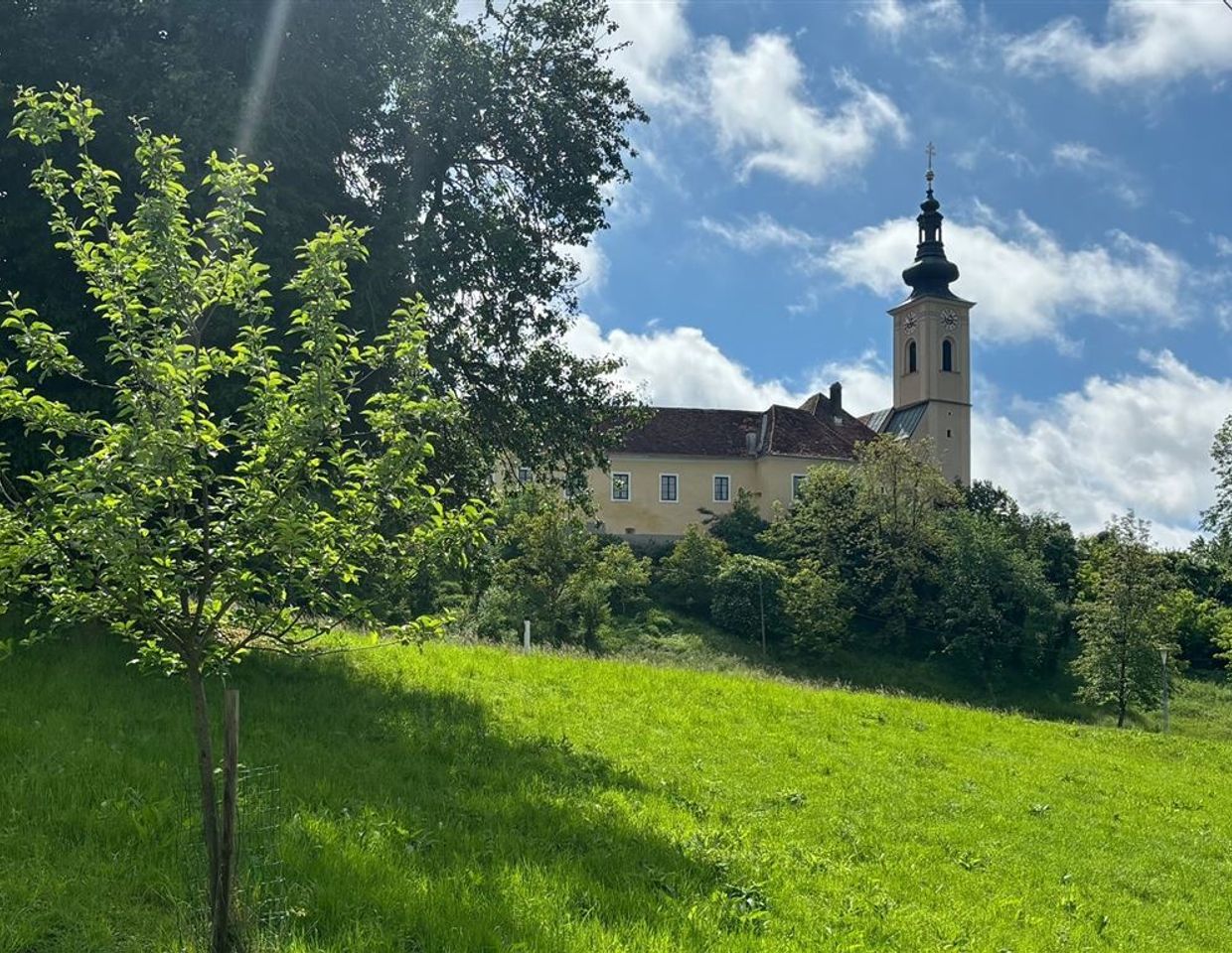 DEINE AUSSICHT von der 4 -Zimmer Gartenwohnung! Familienwohntraum mit angrenzenden Bildungseinrichtungen und dem GRÜNEN Extra!