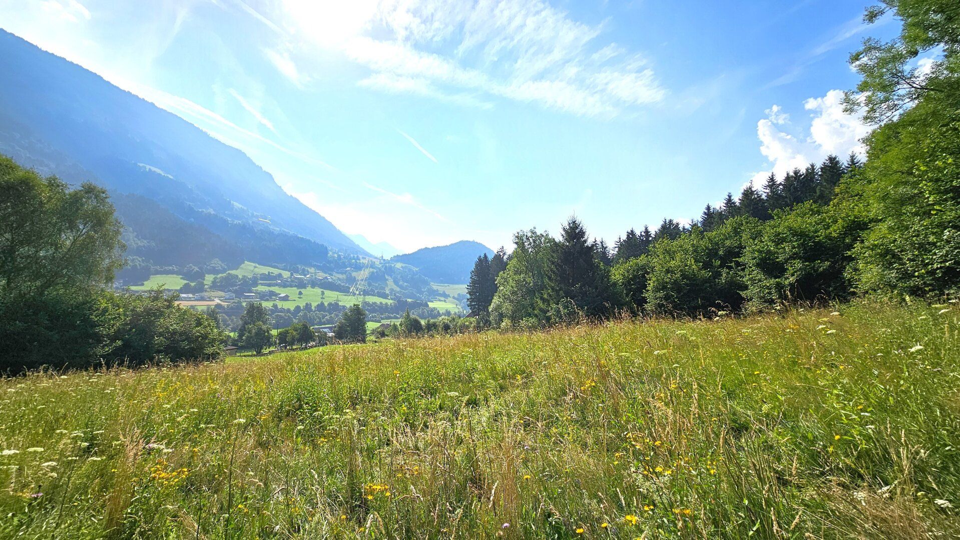 1 Grundstück - Ihr neues Zuhause in einer malerischen Lage in Penk. Ideal auch für Tierhaltung/Landwirtschaft. - Ansicht 3