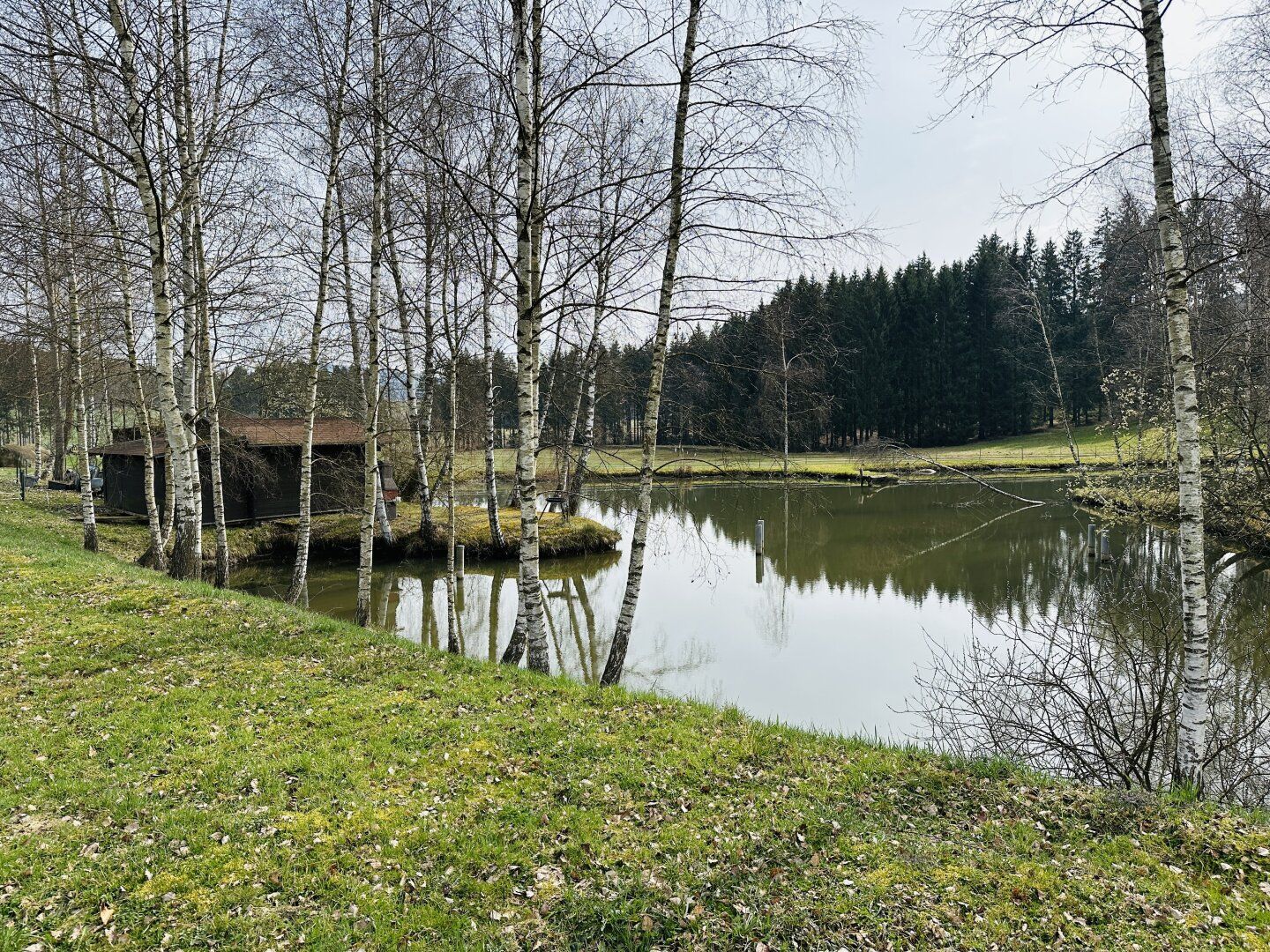 Idyllisches Freizeitdomizil in absoluter Ruhelage - Ein Paradies für Naturliebhaber - Ansicht 5
