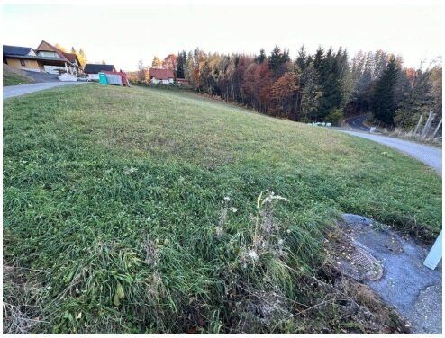 Grundstück über 5.500 m² zum Top-Preis - Ansicht 2