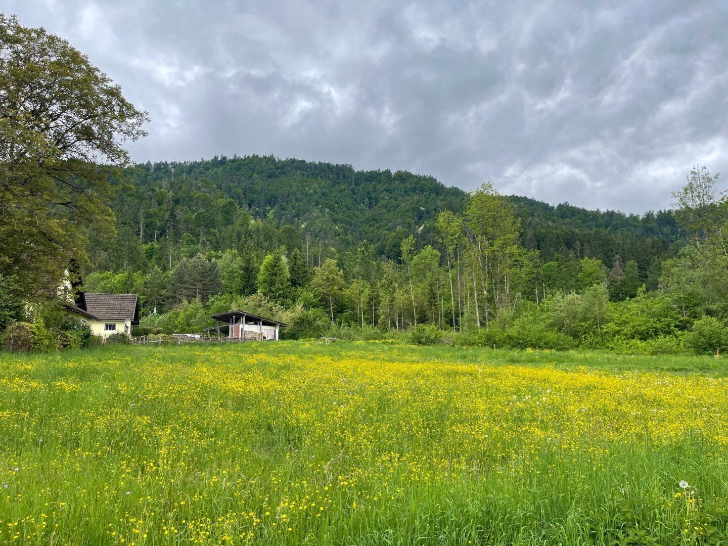 Ruhiges Landleben - Waldrand - Nähe Ferlach und Klagenfurt! - Ansicht 2
