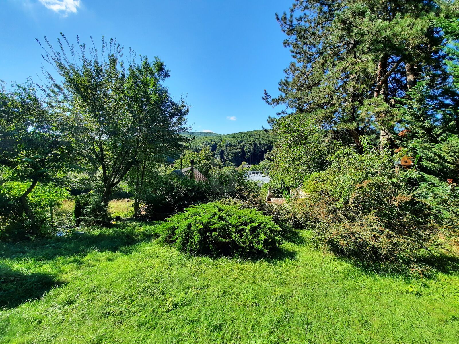 Haus – Purkersdorf - Ansicht 4