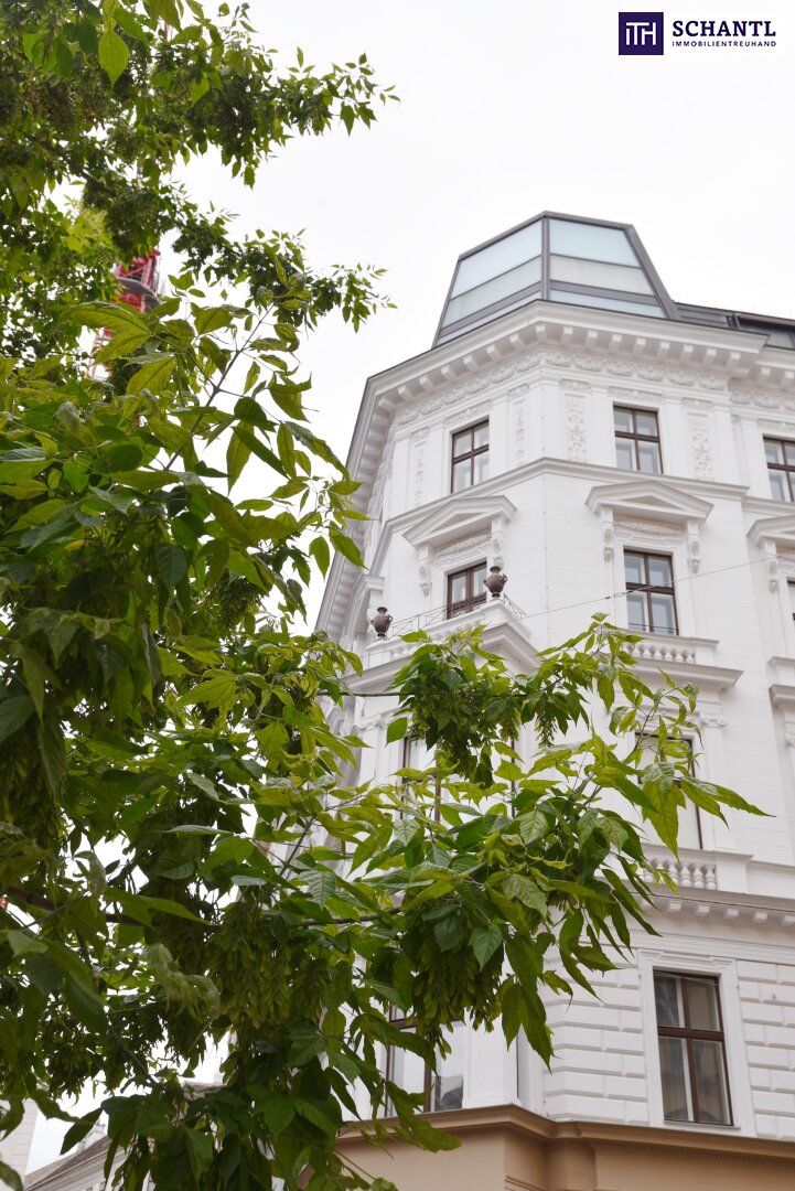 Ein JUWEL im Zentrum Wiens - Stil, Luxus und Lage in Perfektion