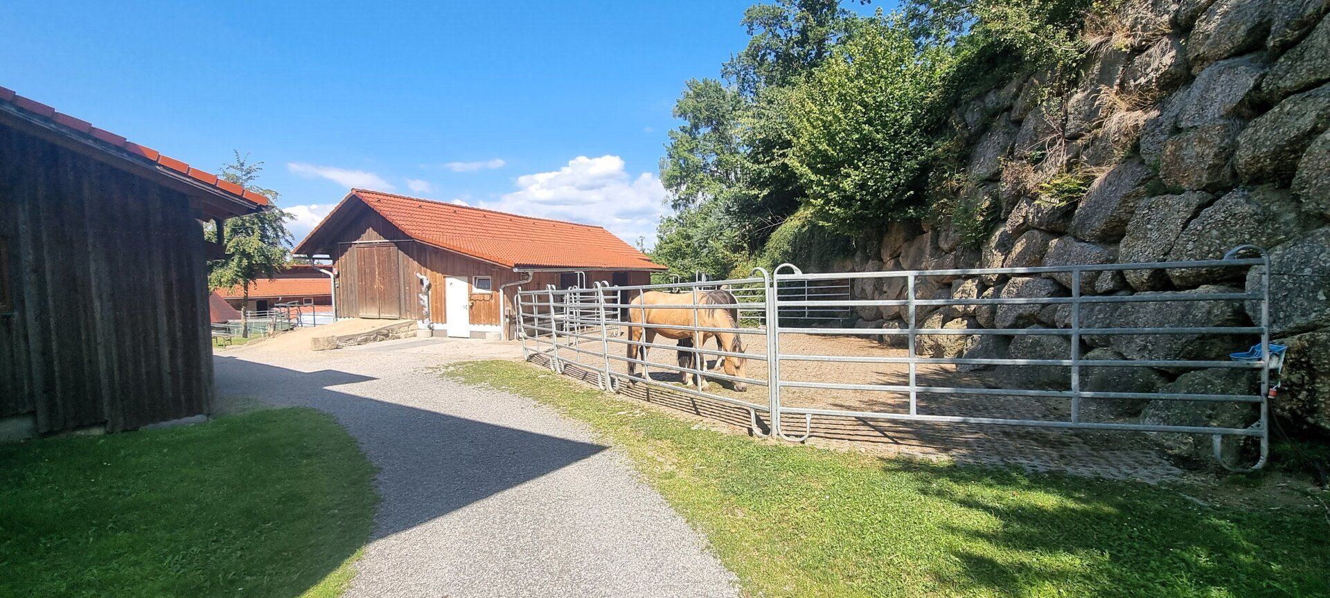 Traumanwesen für Pferdeliebhaber in Alleinlage mit ca. 13 ha - Wanderreiten im Pferdereich Mühlviertler Alm !! - Ansicht 5