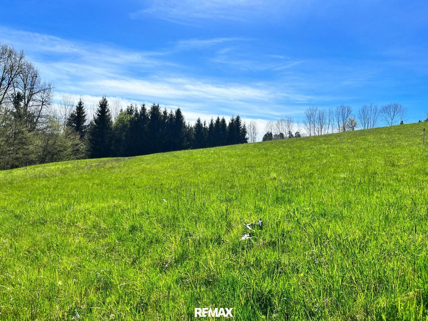 SOMMERAKTION: Baugenehmigung bereits erfolgt, 1.352 m² sonniges Grundstück! - Ansicht 2