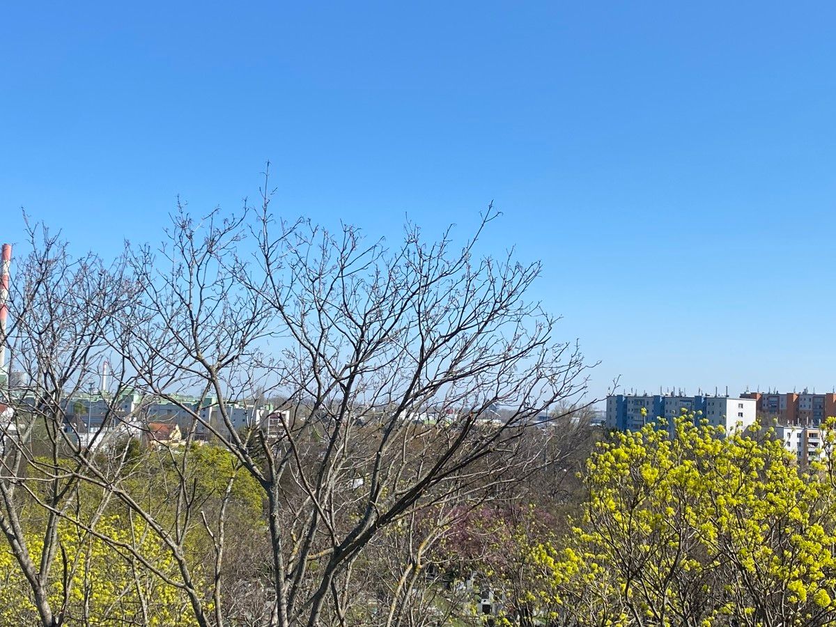 =DAS LAURENZ= ERSTBEZUG Top Anlage Dachwohnung U3 2 Zimmer + Terrasse - 1 bedroom apartment+terrace