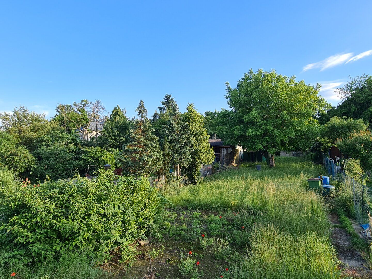 Traum-Eigengrund | Friedhof Großjedlersdorf - Mehr