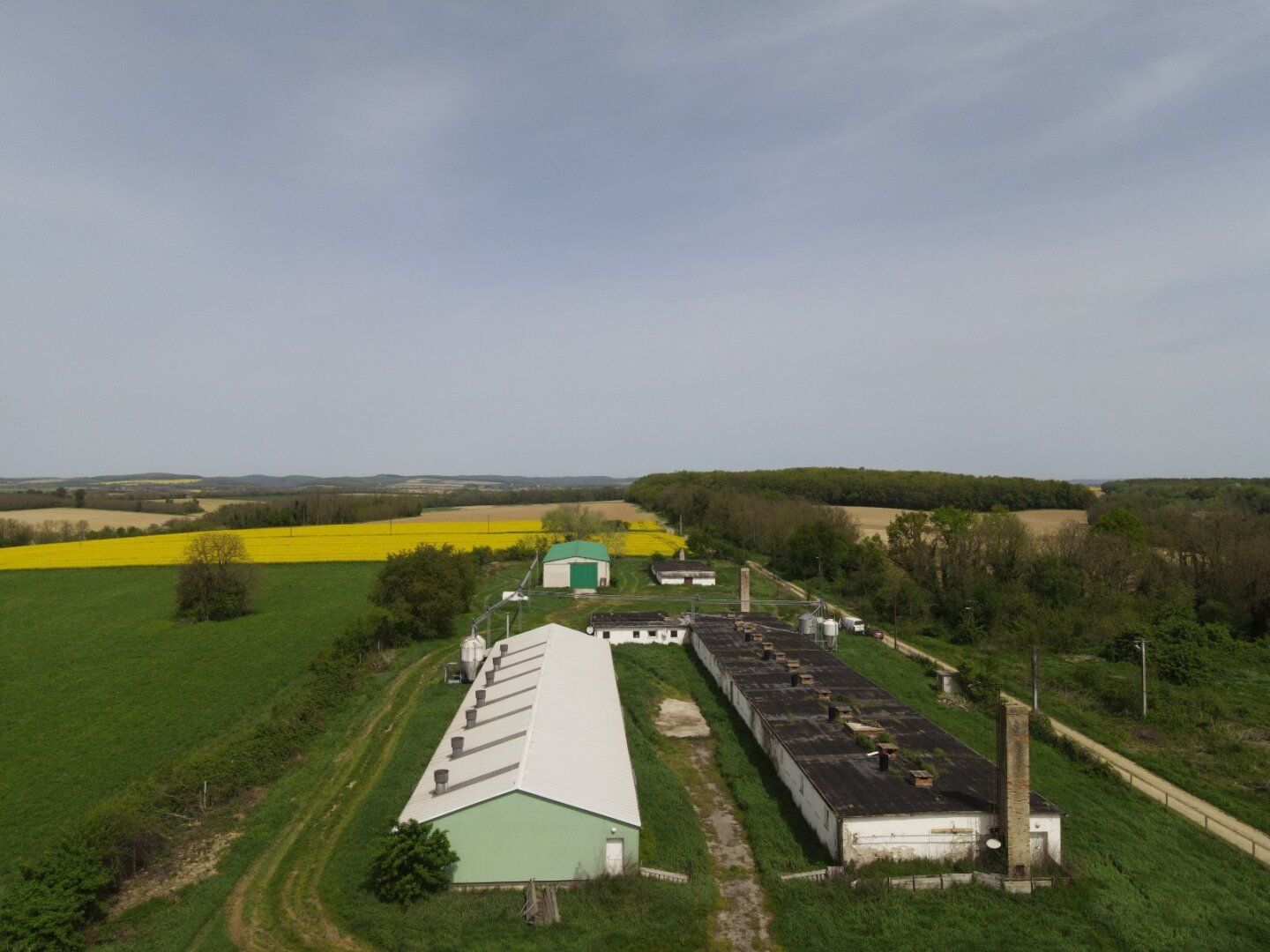 UNGARN: Föderprojekt - Schweinezucht und Mastbetrieb in Bestlage! - Ansicht 5