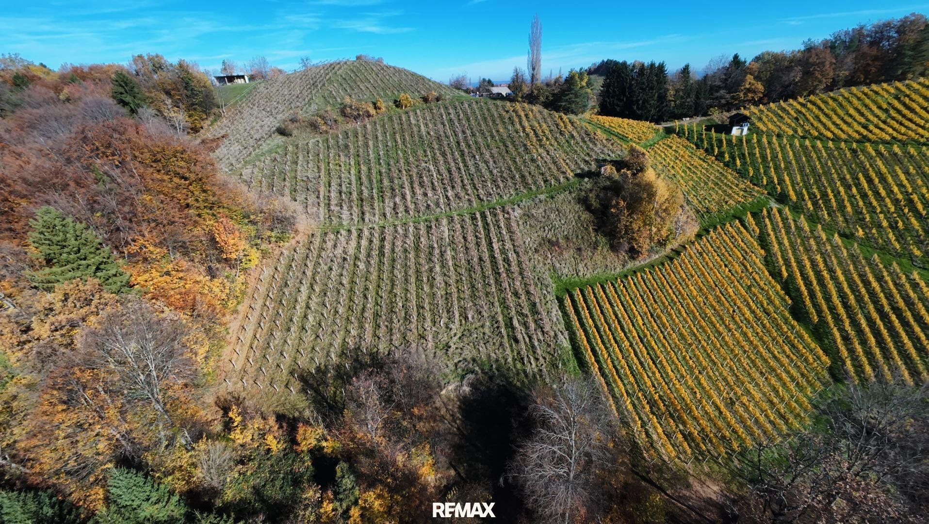 Abverkauf !! Weingarten mit Landwirtschaft in Kranach, Gemeinde Gamlitz zum Schnäppchenpreis( ZONE III ) - Ansicht 3