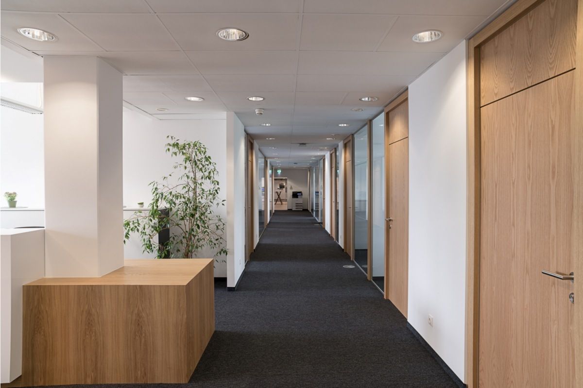 Attraktive Büro- und Lagereinheiten im Gewerbepark in 2345 Brunn am Gebirge zu mieten - Ansicht 4
