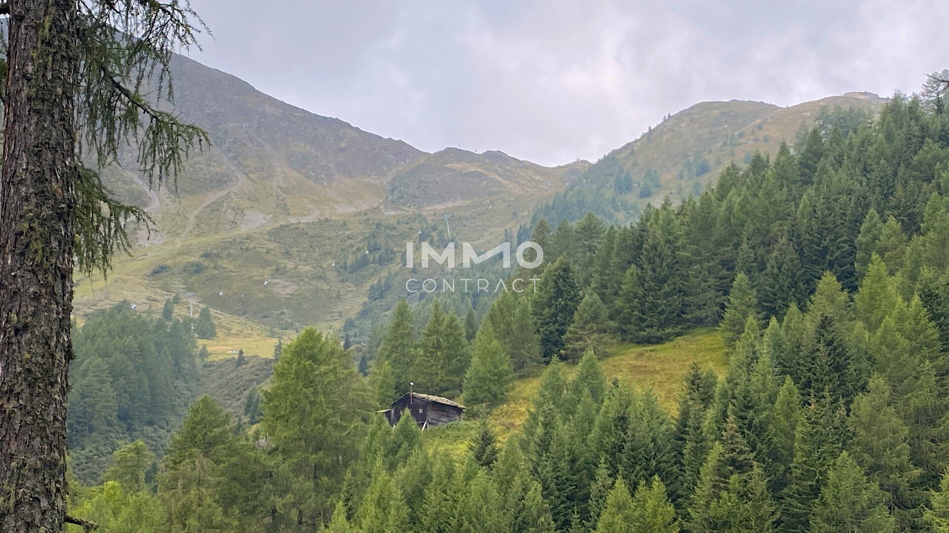 Waldparzellen am Fuße des Großglockners - Ansicht 2