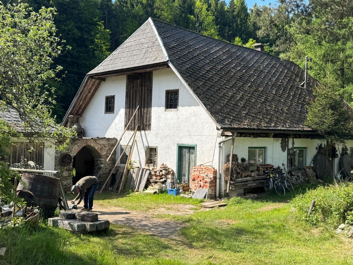 Sacherl im Grünen