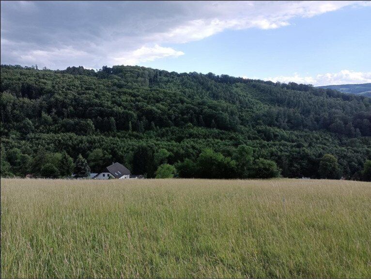 Traumhaftes Grundstück nahe Neulengbach/Altlengbach - Ansicht 4