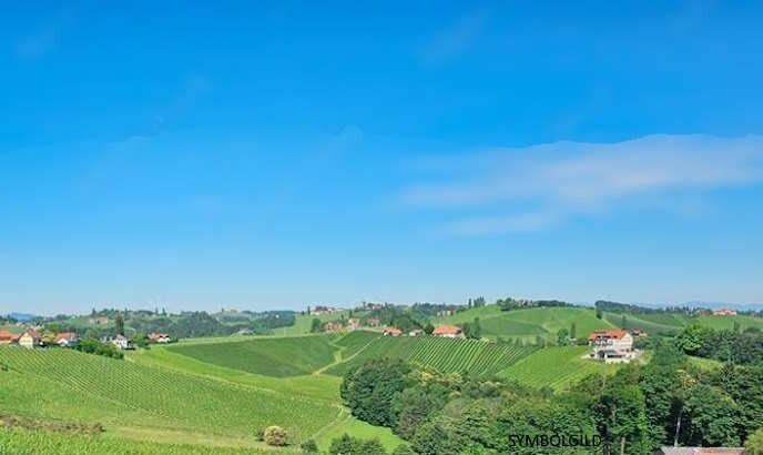 SÜDSTEIERMARK: traumhafte Alleinlage, Rundumblick, Wohnen, Weinbau, Wald