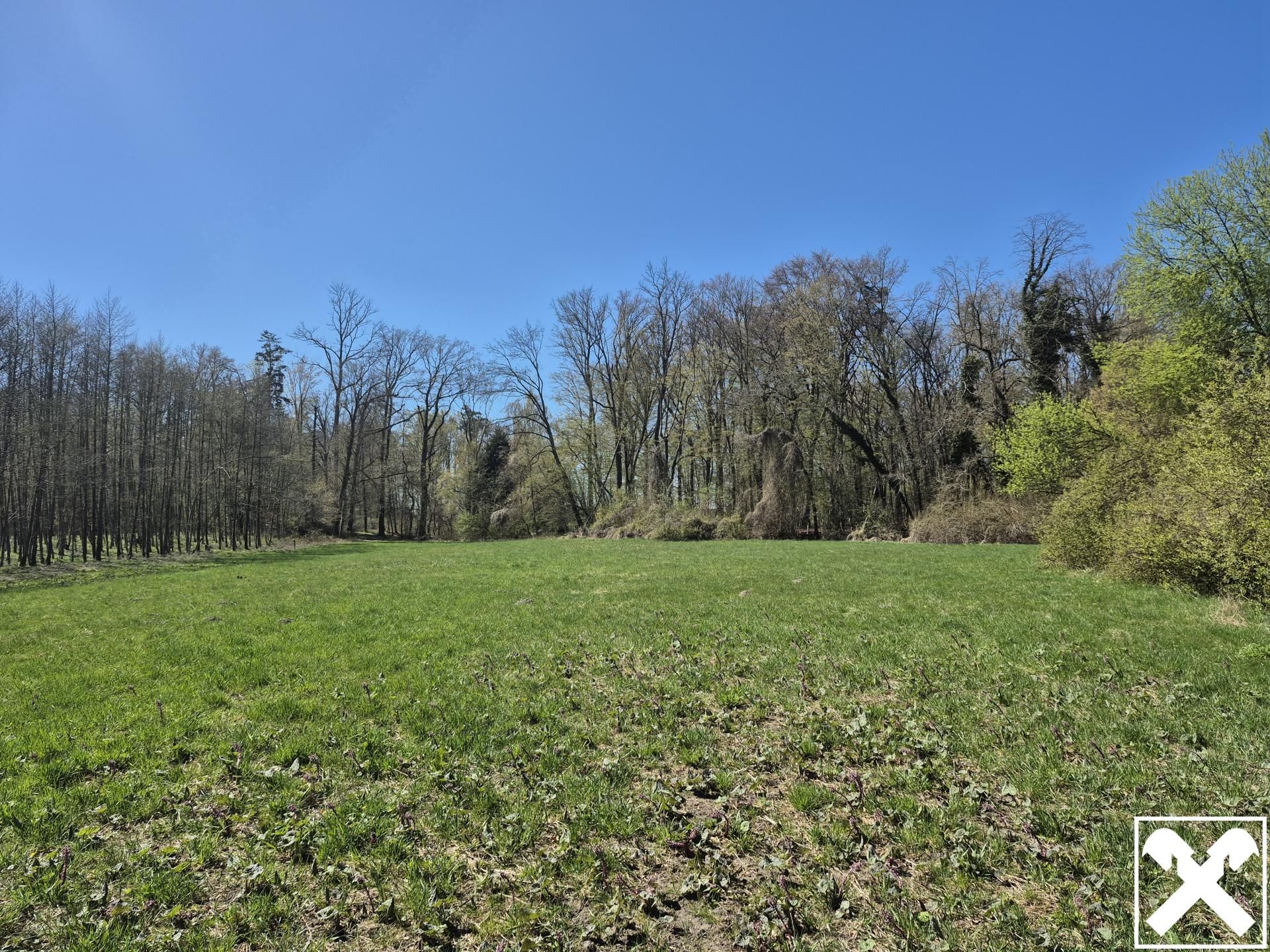 landwirtschaftlicher Grund mit Wald - Ansicht 3