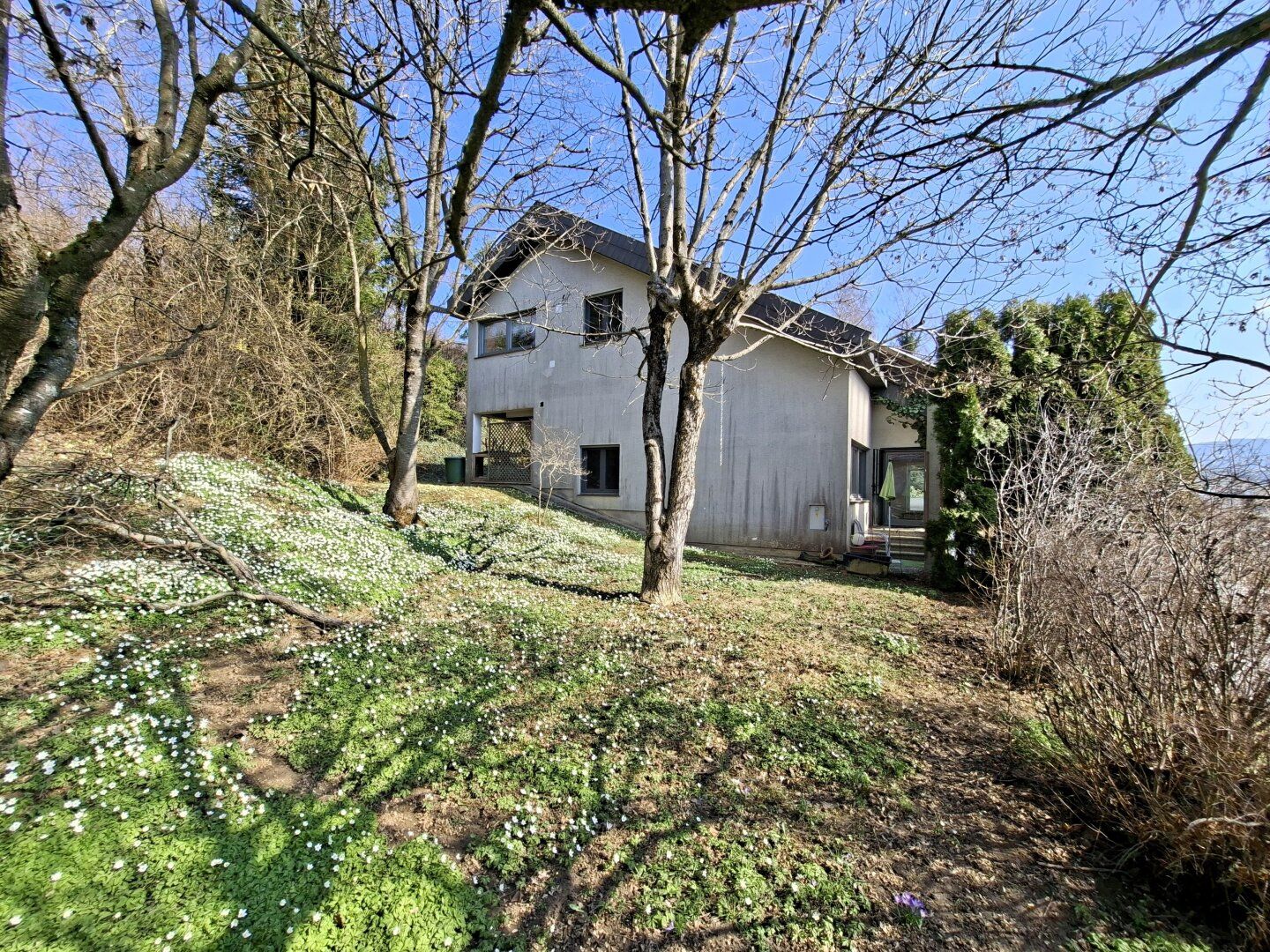 Haus – Birkfeld - Ansicht 2