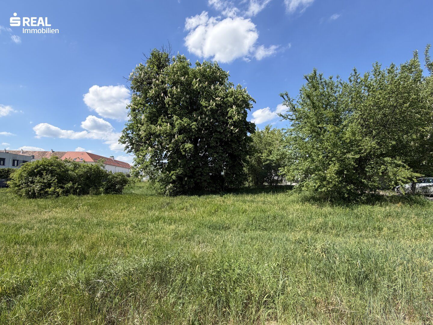 Wohnen nahe dem Neusiedler See - ruhige Lage - zentrumsnah