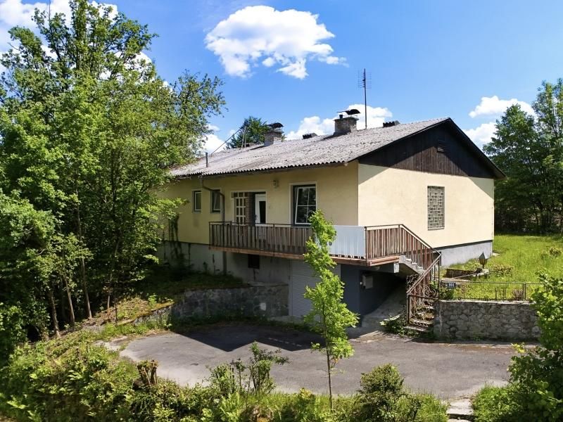 Grünes Paradies für Heimwerker!