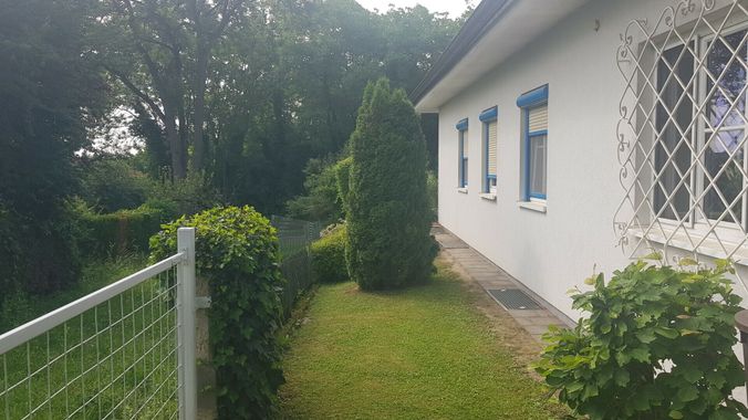 Gartenbereich4