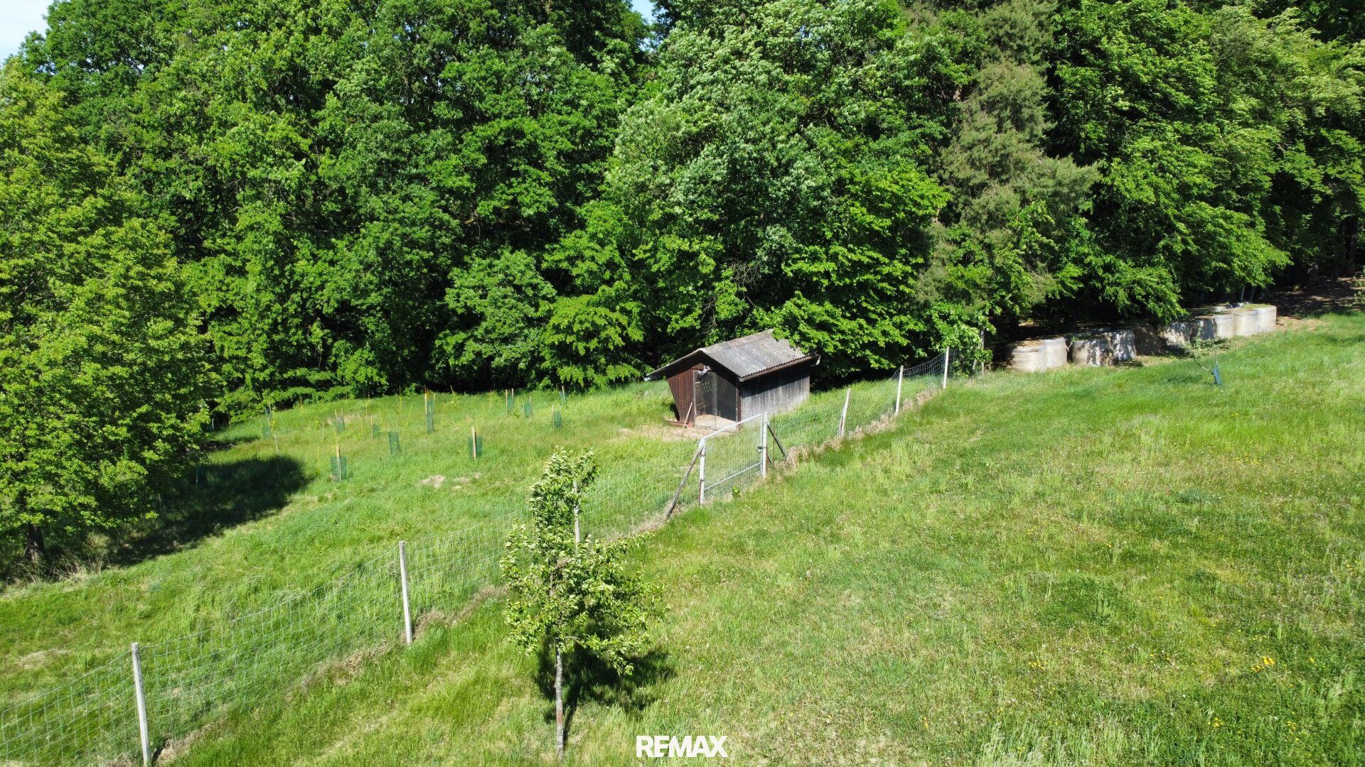 Sonnige Landwirtschaftsfläche mit vielseitigem Potenzial - ideal für Tierhaltung & Naturprojekte