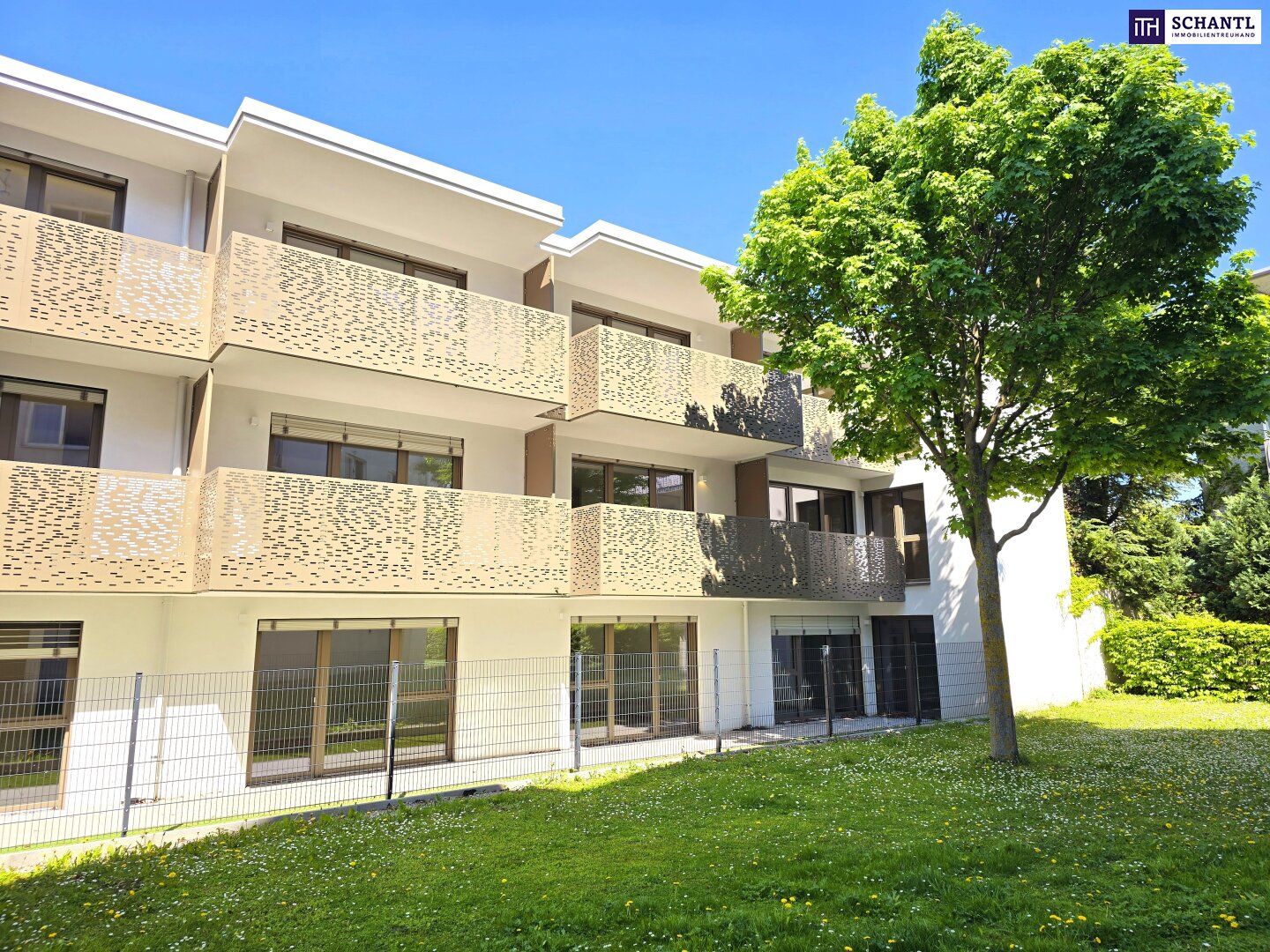 Wohnung – Wien - Ansicht 5