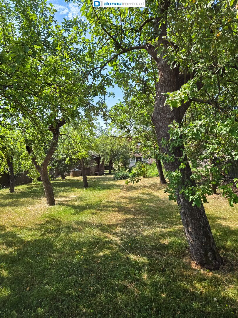 Haus – Goschenreith - Ansicht 4