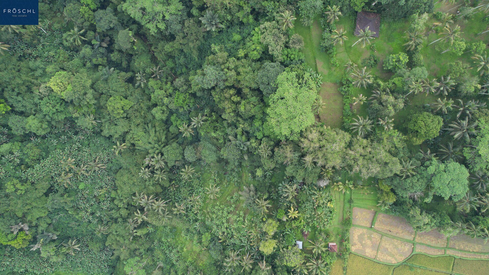 Ubud, Bali - Indonesien - 6.000 m² für Visionäre - Seltenes Freehold-Grundstück mit Tourismuswidmung - Ansicht 5