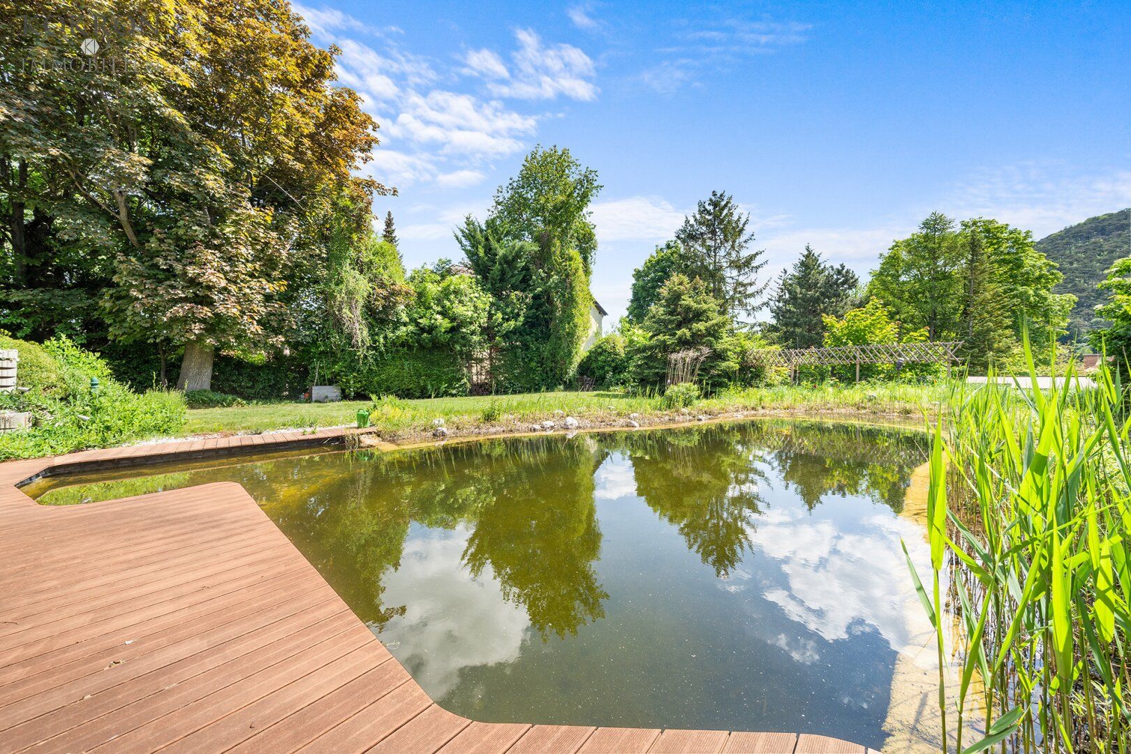 Top Jugendstil-Villa mit Schwimmteich - perfekt für große Familie, für 2 Familien, für wohnen und arbeiten
