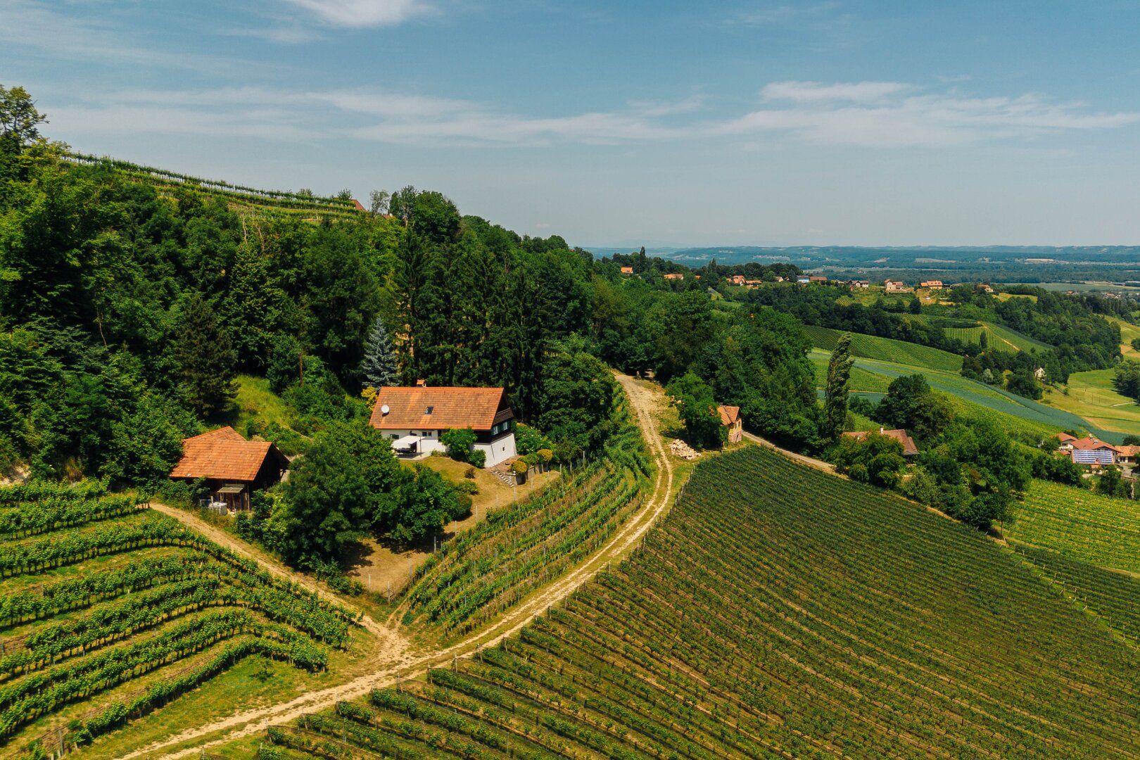 Alleinlage, Weinberge, Weitblick und Idylle - Ihr Rückzugsort am Graßnitzberg!