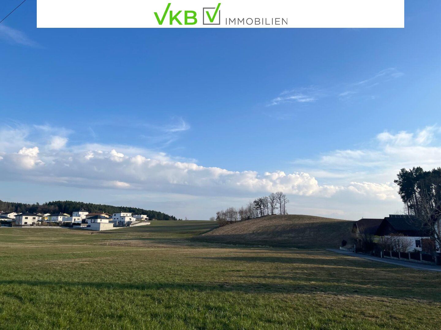 Großzügiges Grundstück nähe Gallneukirchen! - Gemeinde Alberndorf in der Riedmark (GST 2443/1) - Ansicht 4