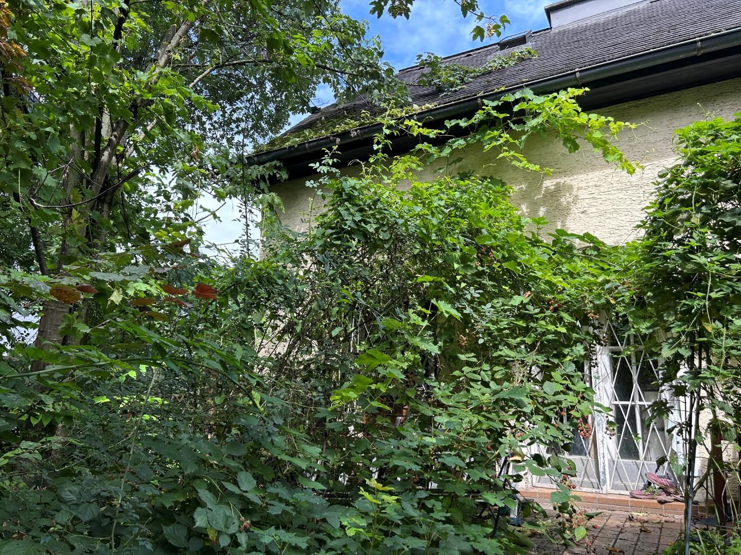 Salzburg Liefering: charmanter Altbau, 577 qm Baugrund in guter Lage, ruhig, sonnig, GFZ 0,6