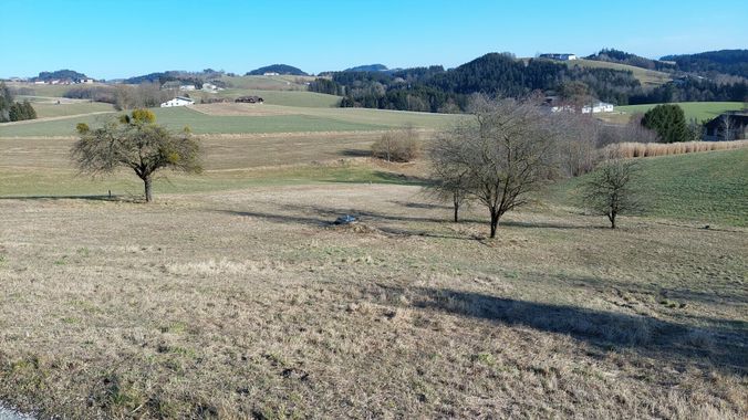 Hausgarten