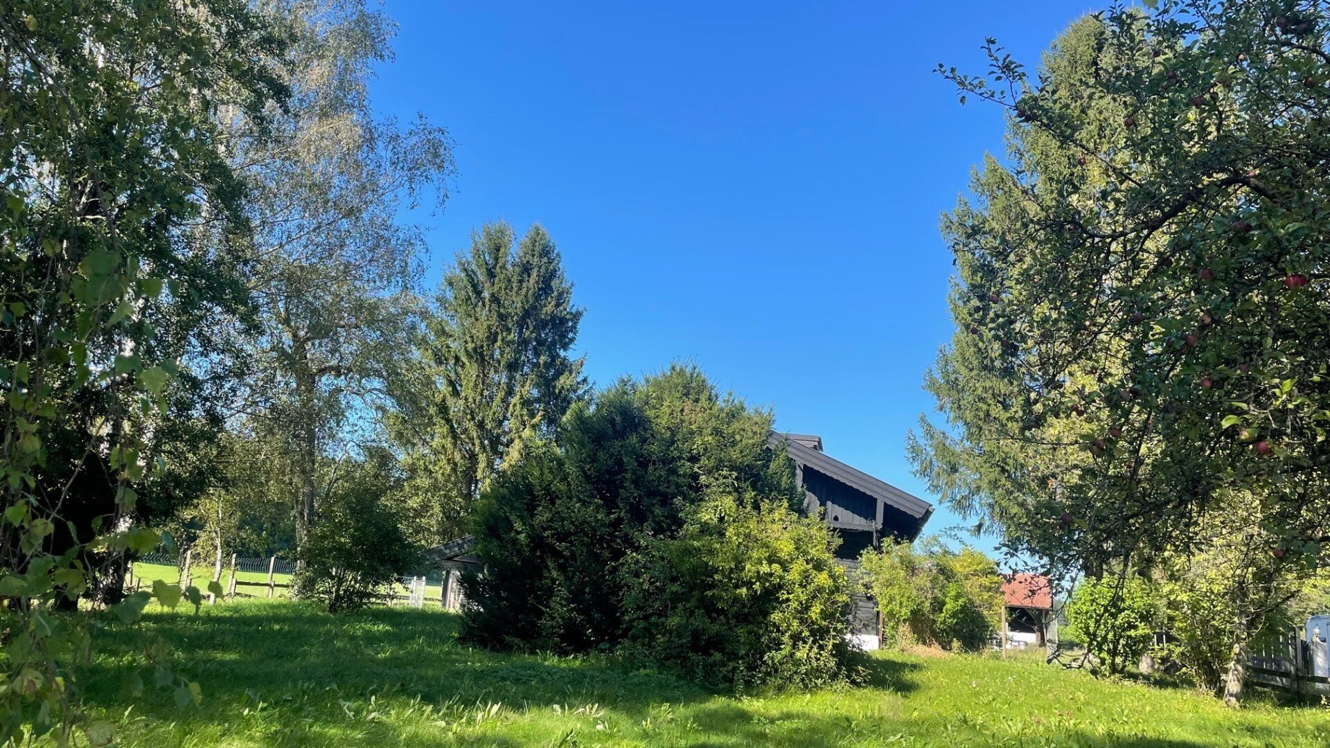 Haus – Lamprechtshausen - Ansicht 5