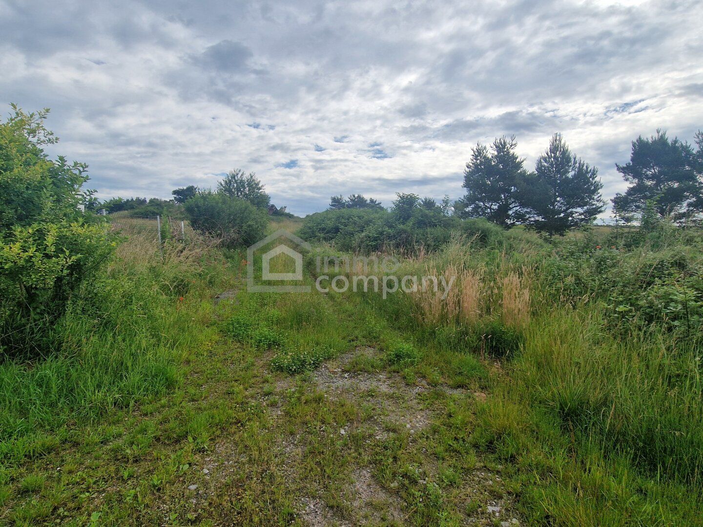 Rarität - Grund mit Teilwidmung Reitplatz/Reitanlage - 10.360 m² um nur 140.000 €! - Ansicht 3