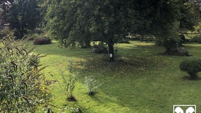 Garten 1