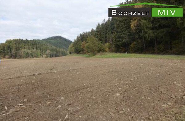 Ca. 3,9 ha Ackerfläche in +++ St. Marein - Feistritz +++ - Ansicht 3