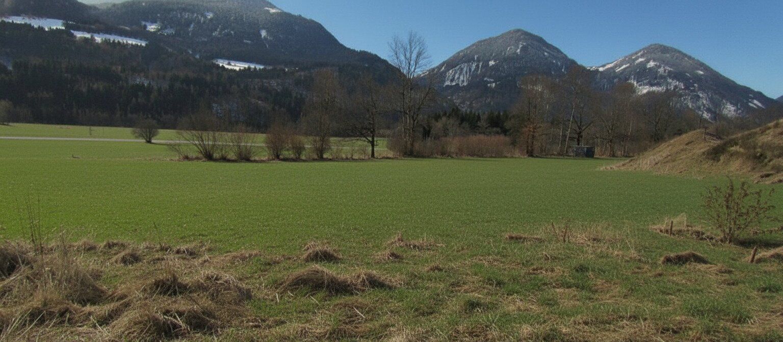 Neuer Preis......sonniger Baugrund mit Ausblick - Ansicht 4