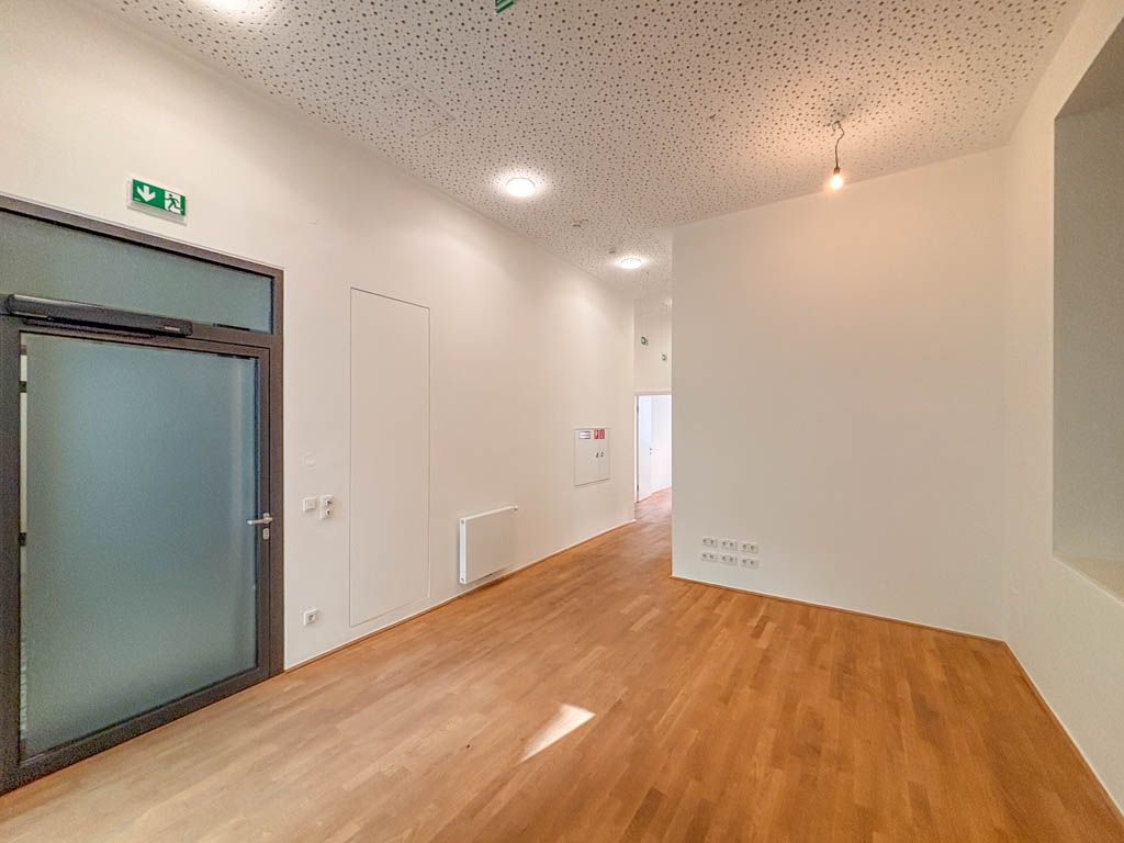 Repräsentatives Büro im prachtvollen Palais Schwab - Ansicht 4