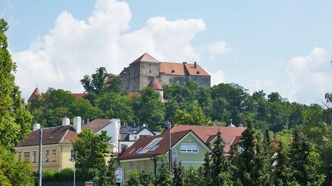 Blick auf die Burg Neulengbach