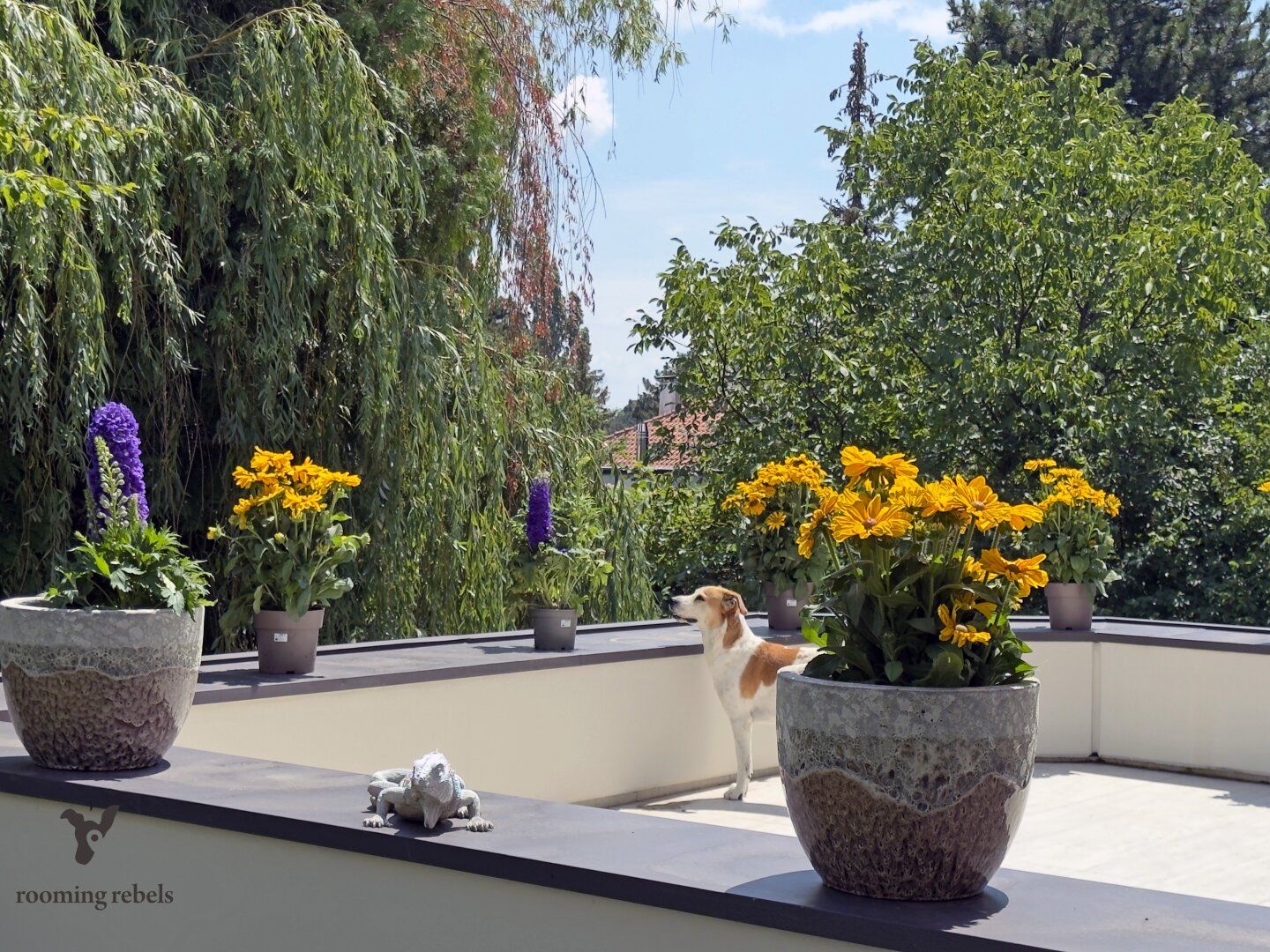 Haus – Wien - Ansicht 5