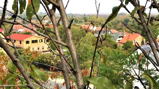 23.Aussicht zum Neusiedlersee