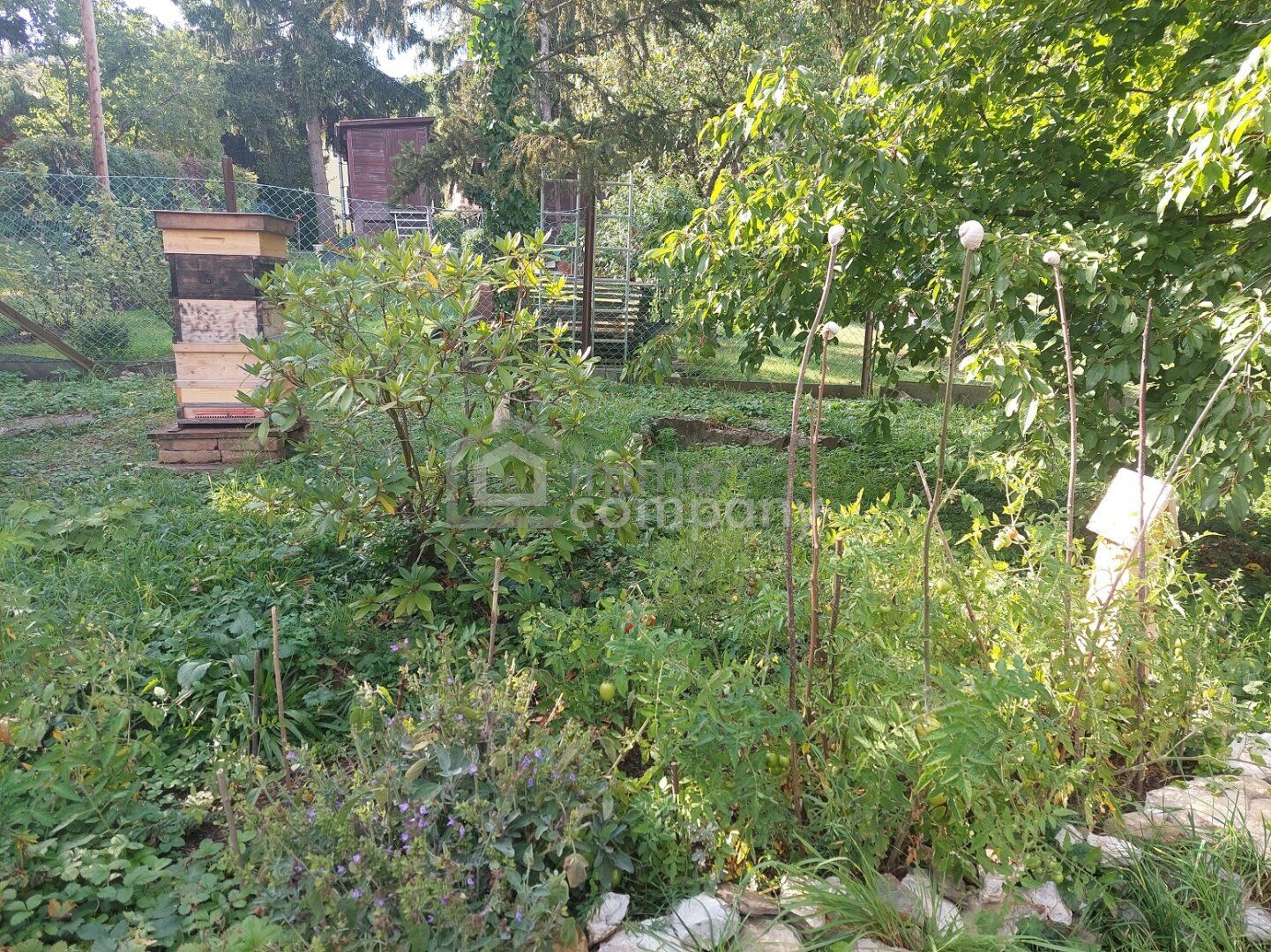 Traumgrundstück in Wien Hietzing mit einzigartigem Ausblick! - Ansicht 3