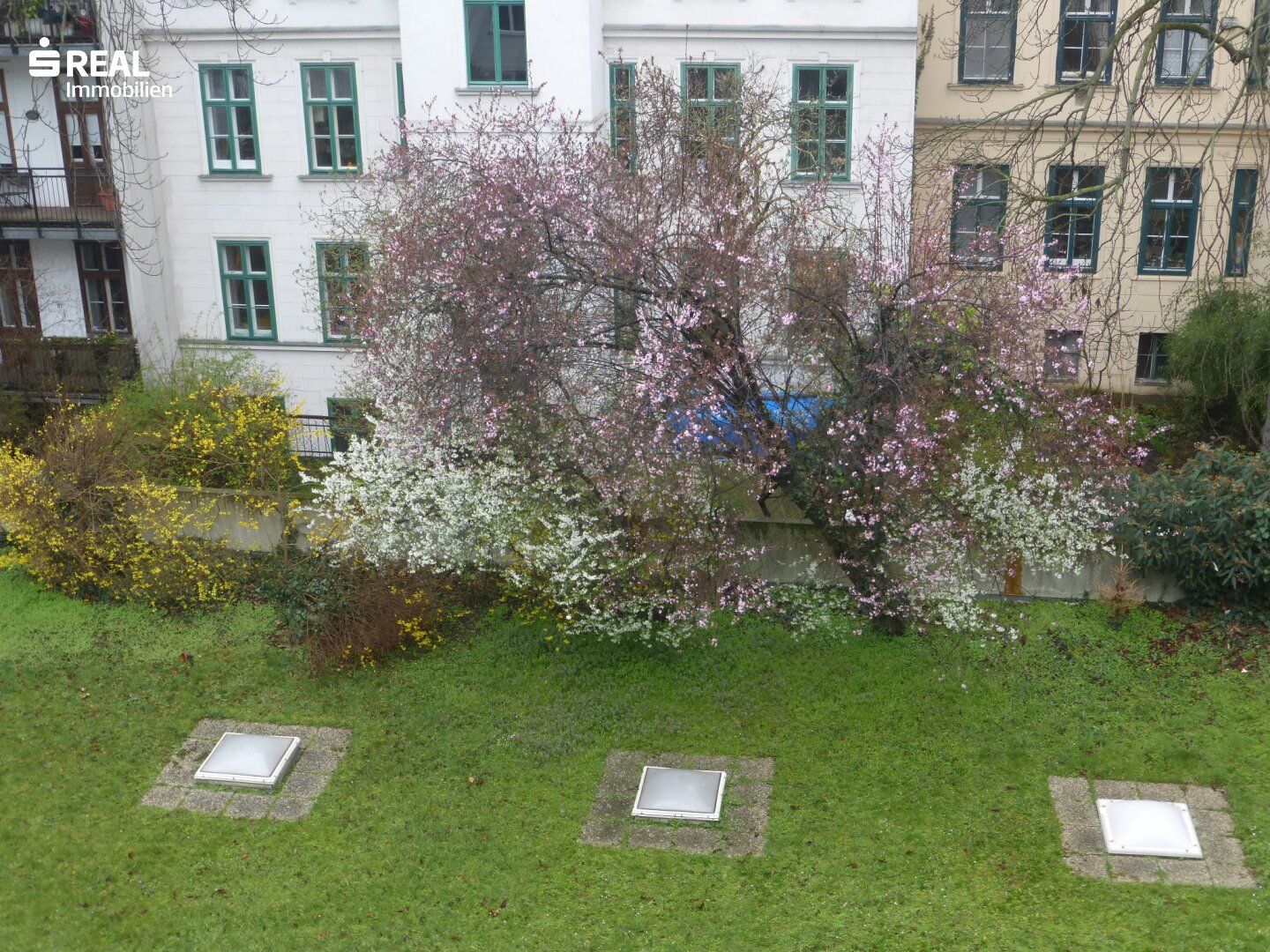 Sunshine and green view - Sensational location near Naschmarkt - U4/Kettenbrückengasse - Perfect 3-room apartment - 3rd Floor