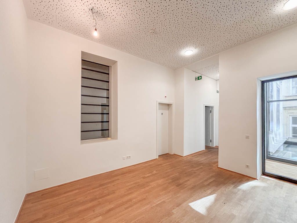 Repräsentatives Büro im prachtvollen Palais Schwab