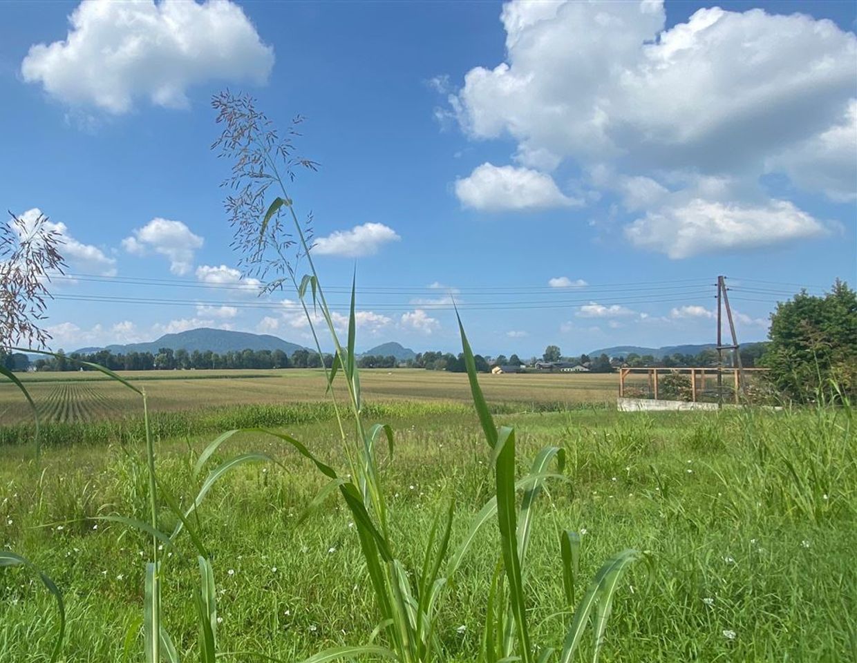 WOHNEN MIT BLICK AUF DEN WILDONER BERG! Sonnige Balkonwohnung Nähe Leibnitz mit dem Luxus dieser Aussicht