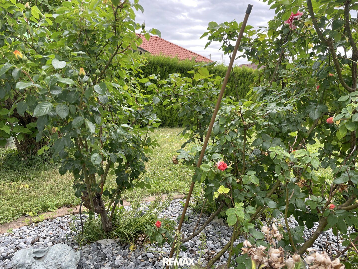 Grundstück mit kleinem Haus in Mitterndorf an der Fischa - Ihr Garten nahe Wien! - Ansicht 5