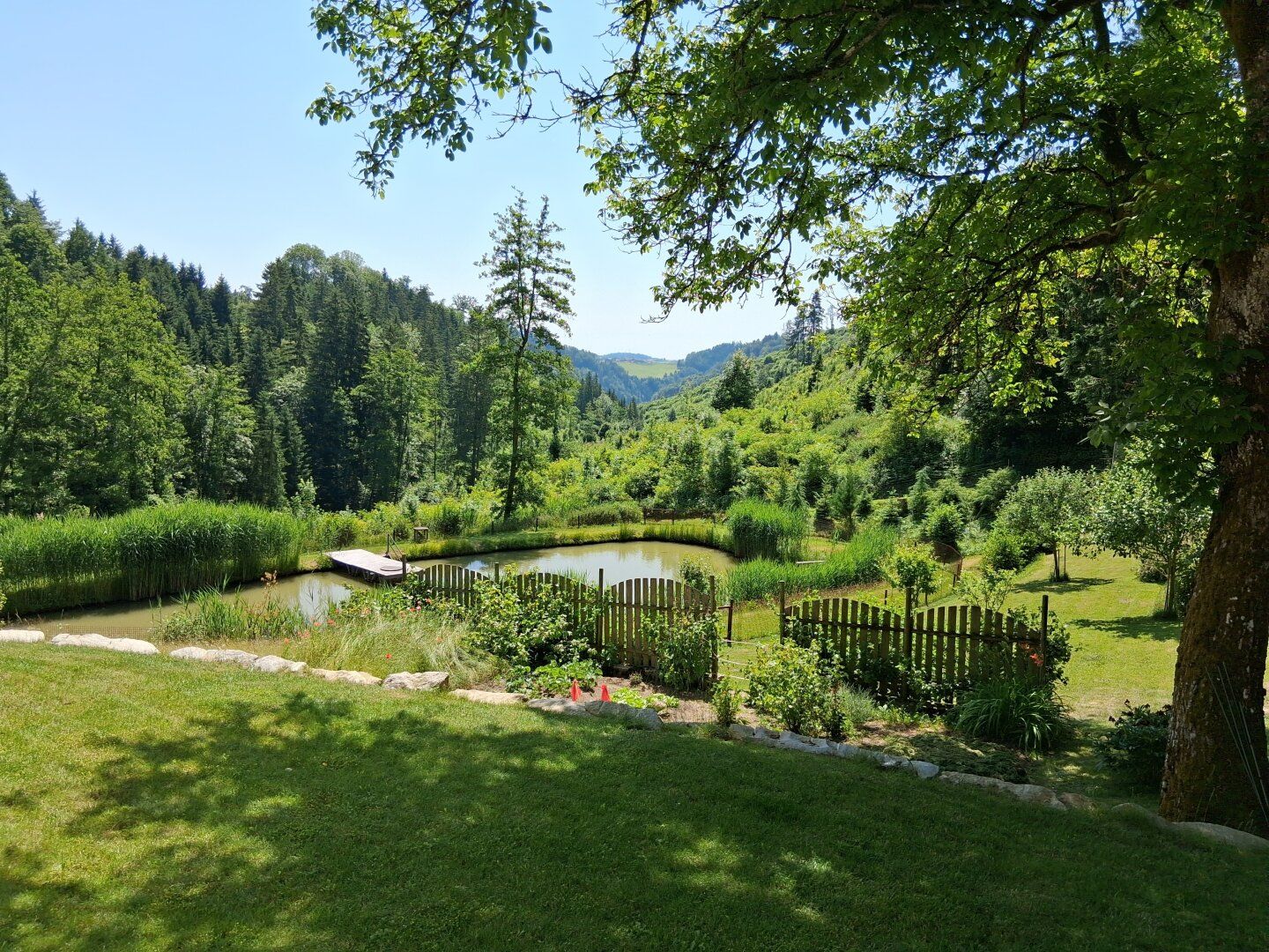 Ein Naturparadies mit vielseitigem Potenzial - Ihr einzigartiges Anwesen in absoluter Alleinlage