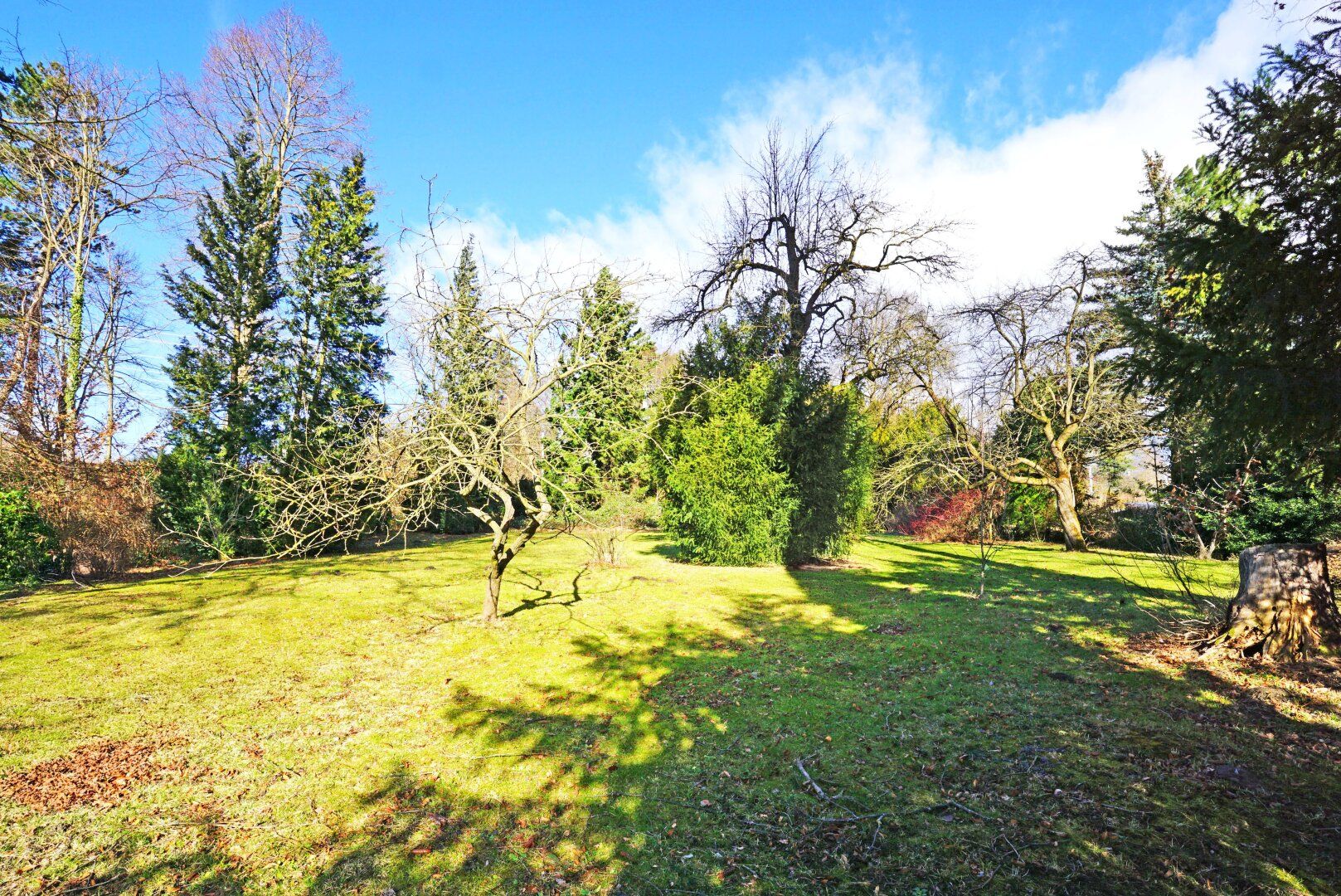 Haus – Pressbaum - Ansicht 5