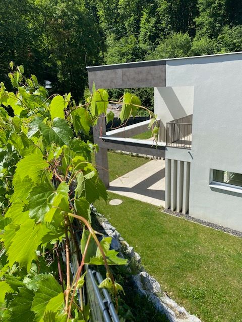 Beste Grünruhelage in toller Wohngegend mit Garten ERTSBEZUG